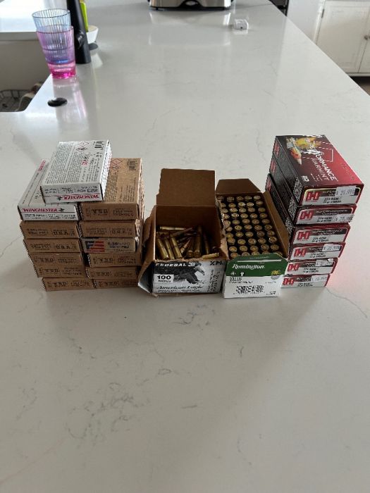 $500 of .223 ammo