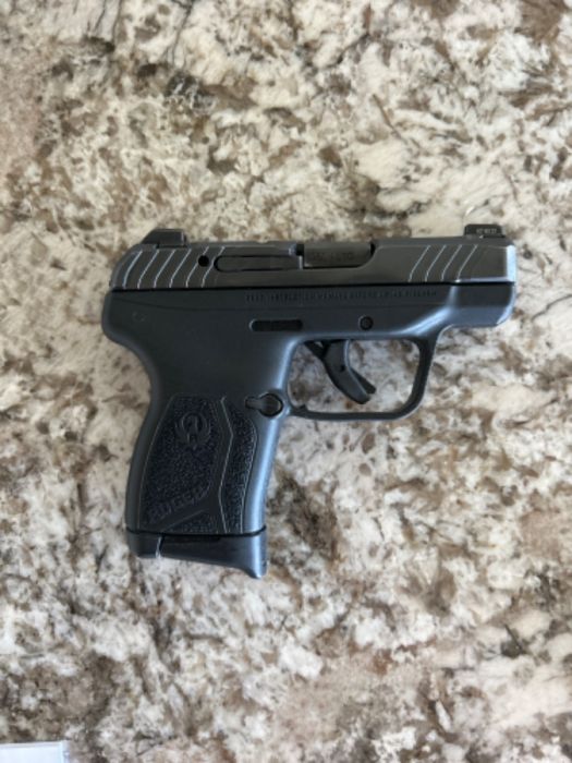 Ruger LCP max .380