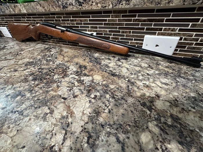 Winchester Model 100 .308