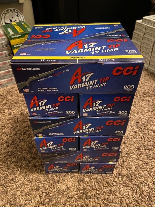 .17 hmr ammo