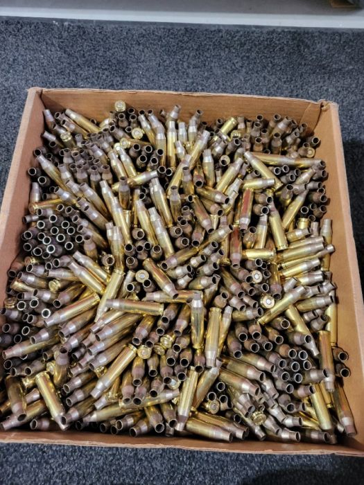 Nexus primed 260 Remington brass 1k pieces