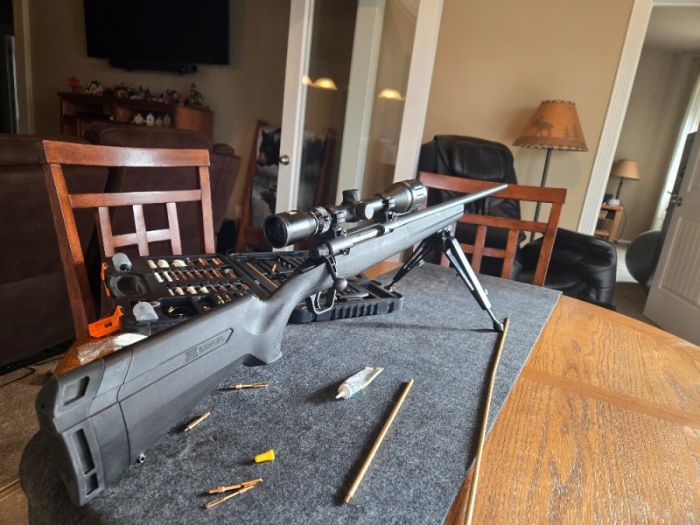 Savage axis 308 