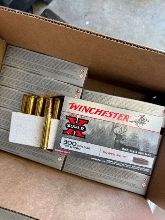 300 WM, Winchester Super X 180gr