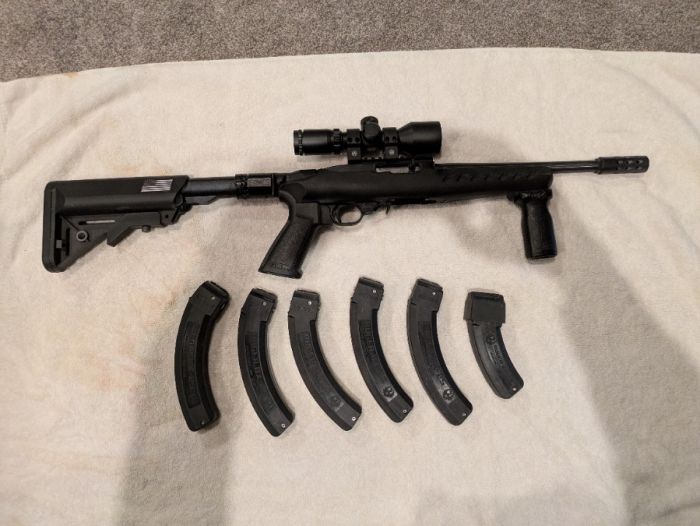 Ruger 10/22 with extras