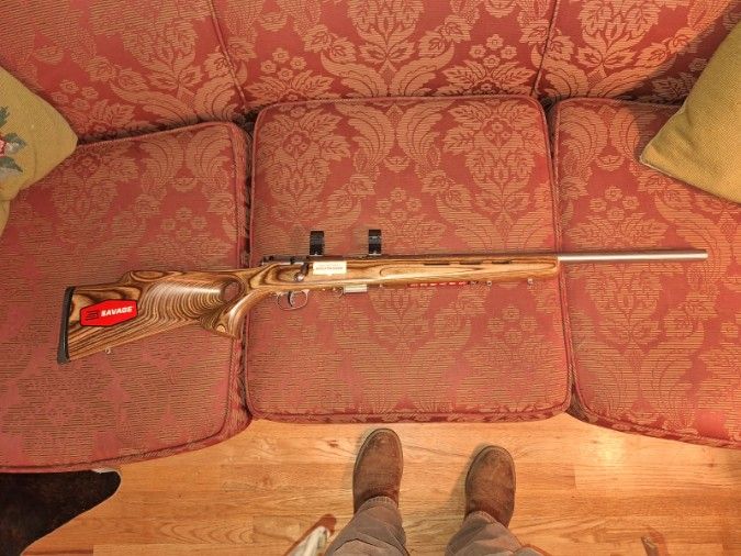 Savage Model 93R17 17 HMR