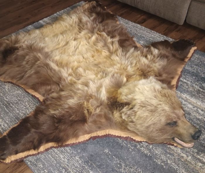 Taxidermy Grizzly Rug/Mount