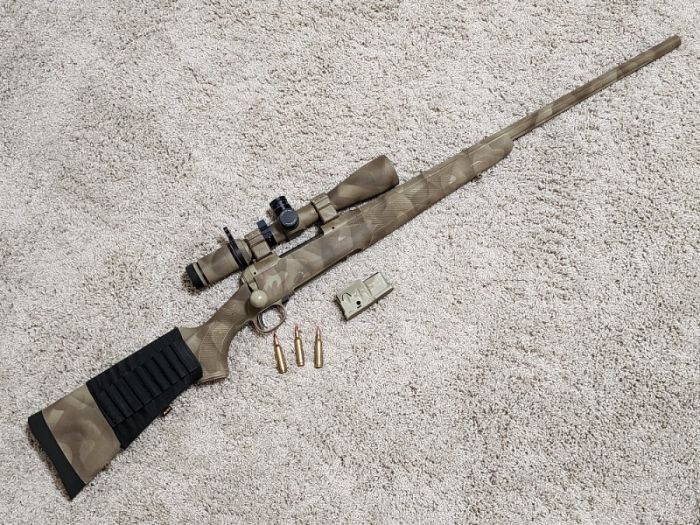 22-250 Savage Model 10 Predator