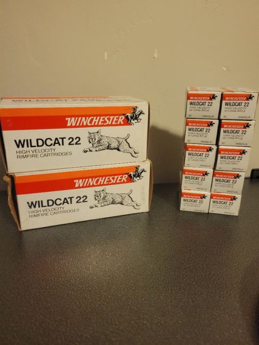 .22lr 40 gr Winchester Wildcats