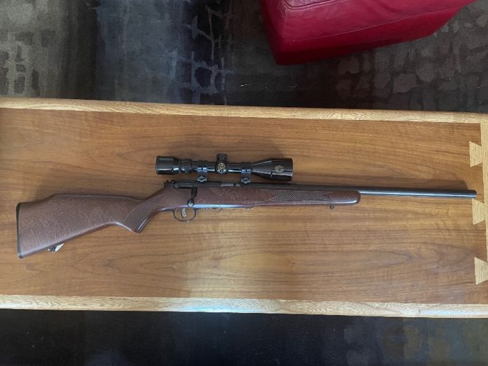 Savage .17 hmr