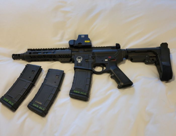 300 Blackout with Eotech Sight