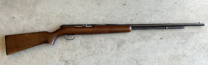 Remington 550 in .22lr - PENDING