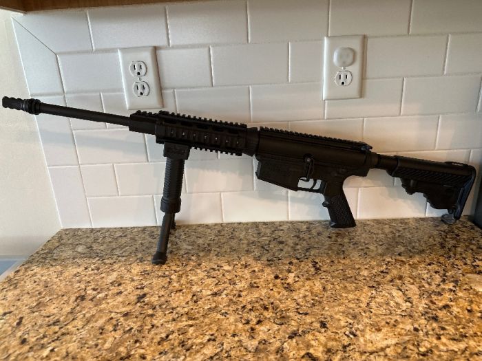 DPMS LR 308 Gen 1 plus two mags