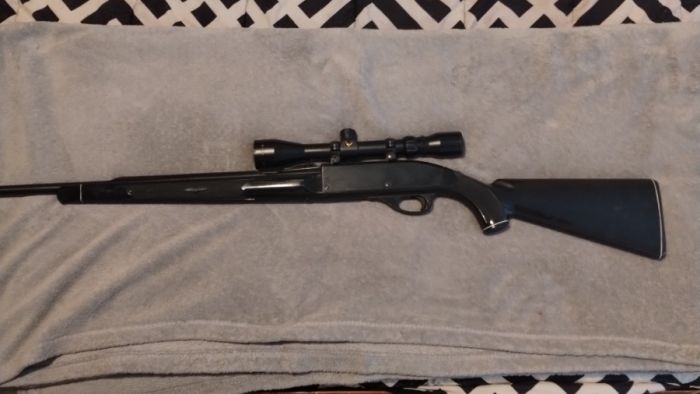 Remington Nylon 66 Apache black