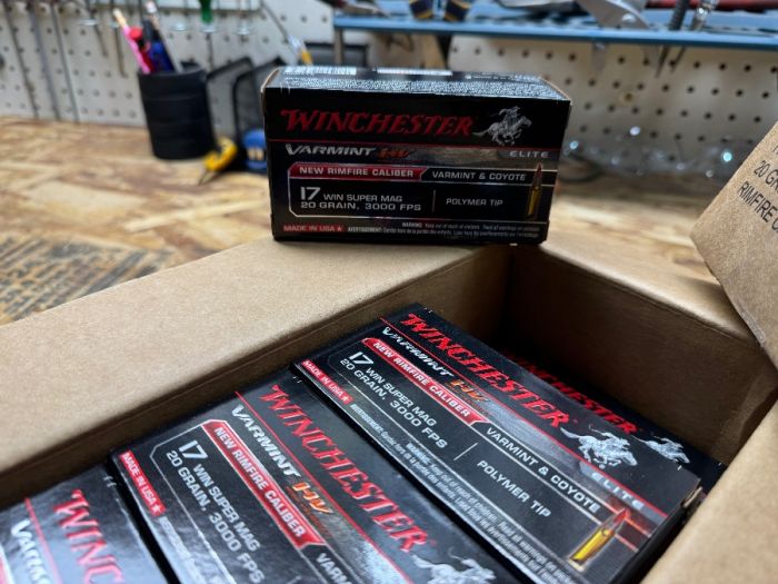 Winchester Varmint HV .17 WSM 20gr