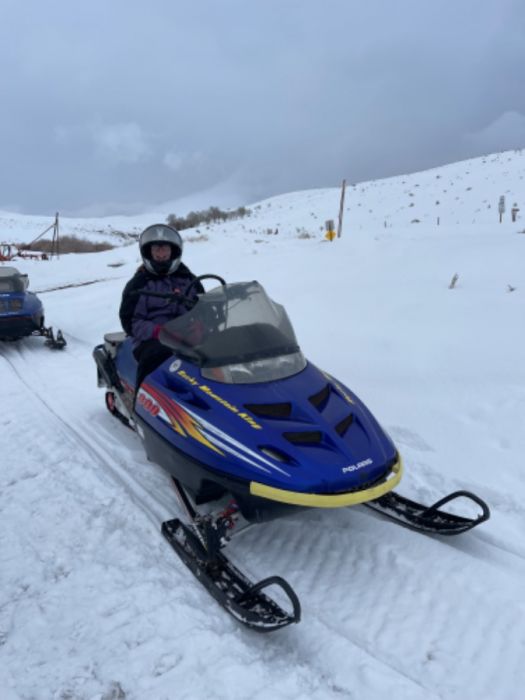 Polaris snowmobiles