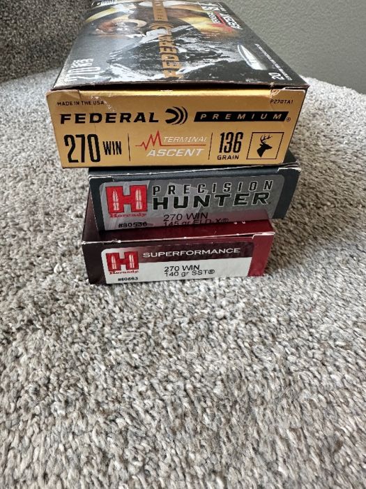 .270 Ammo