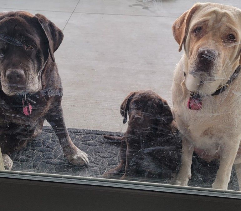 3 Generations. Can't resist those faces!