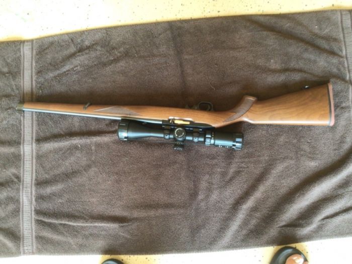 Ruger 10/22