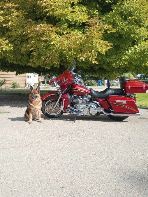 2005 Harley Davidson electraglide