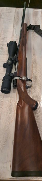 Ruger M77 .308