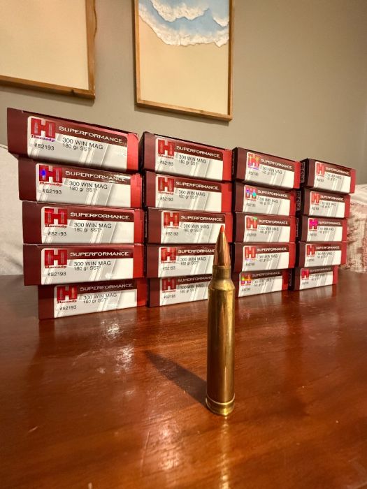 HORNADY 300 WIN MAG 180 gr SST, 400 rounds