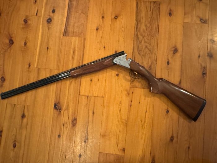 Rizzini .410 