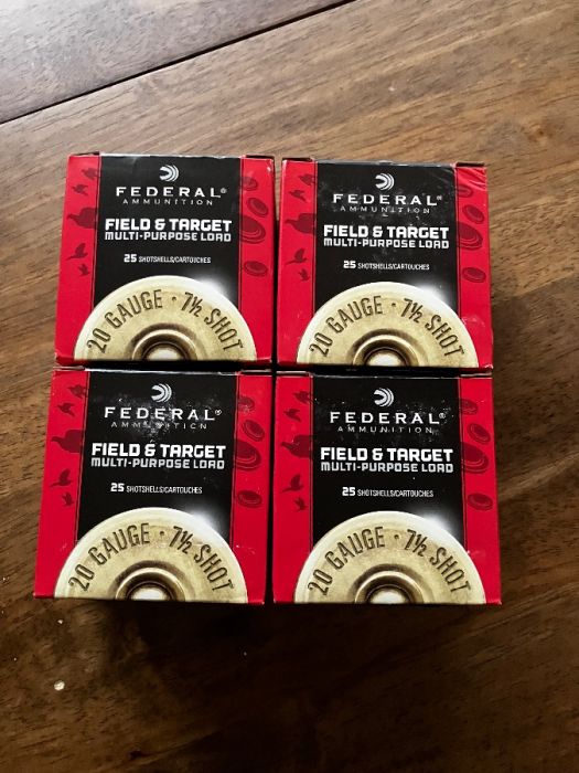 Federal 20 gauge shells (100shells)