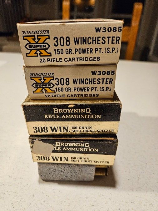 308 Ammo