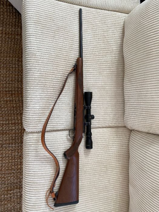 Ruger 77/17 17HMR