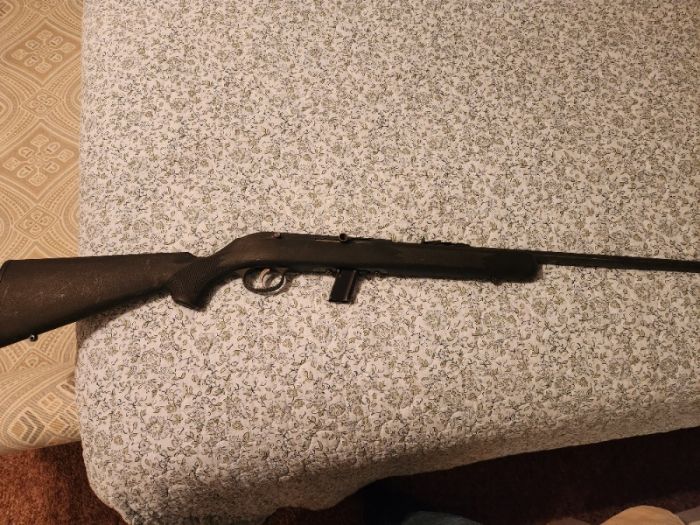 Savage 64 semi auto 22lr