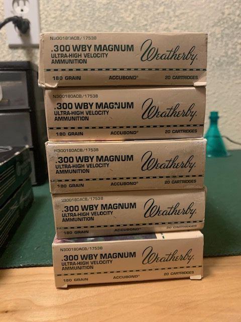 300wby ammo/brass 